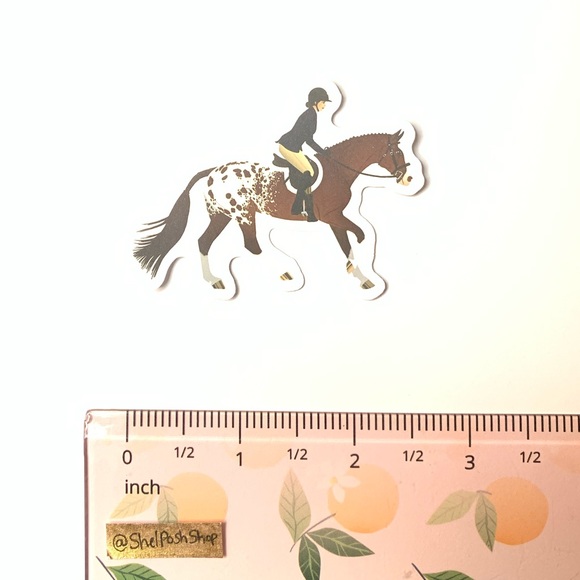 Horse Riding Vinyl Sticker - Picture 2 of 2